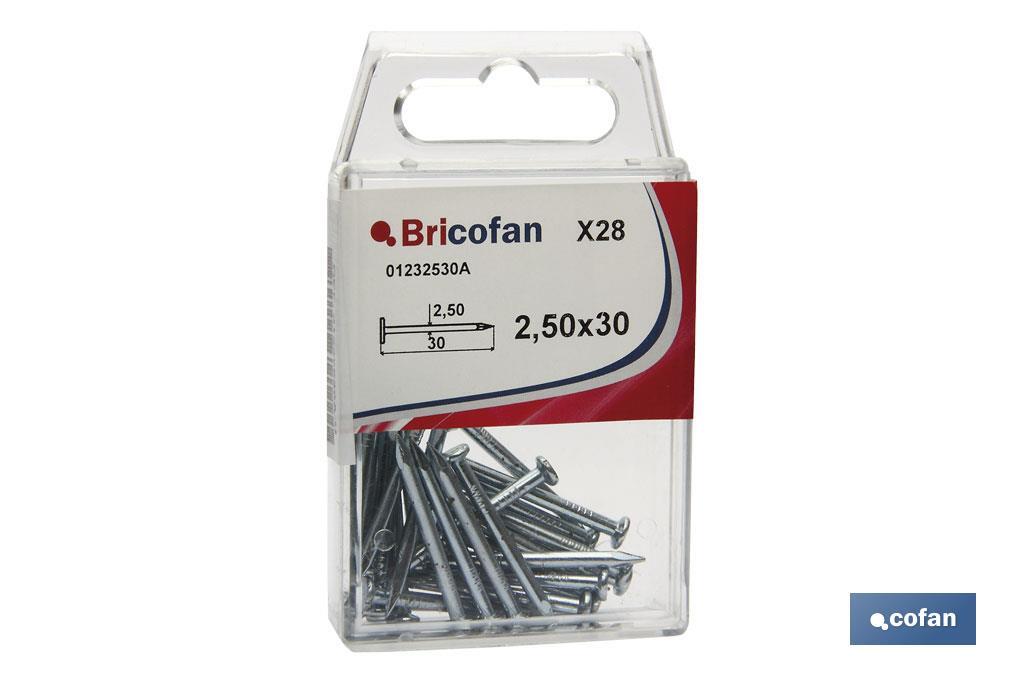 BL 15 UDS PUNTA ACERO C. PLANA Z. 2,5X50MM (PACK: 12 UDS)